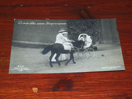 57364-DIE BEIDEN SÖHNE UNSERES KRONPRINZENPAARES - 1908 / CHILDREN / HORSE, HORSES, PAARDEN, PFERDE - Familles Royales