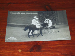 57364-DIE BEIDEN SÖHNE UNSERES KRONPRINZENPAARES - 1908 / CHILDREN / HORSE, HORSES, PAARDEN, PFERDE - Familias Reales