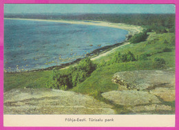 286910 / Estonia  - Põhja-Eesti . Türisalu Pank North Estonia . Türisalu Cliff , Panorama Sea PC 1975 Estland Estonie - Estonie