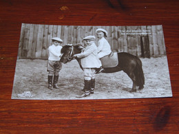 57372-           DIE DREI ÄLTESTEN SÖHNE DES KRONPRINZENPAARES / HORSE, HORSES, PAARDEN, PFERDE - Familles Royales