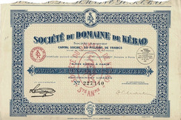 - Titre De 1930 - Société Du Domaine De Kébao - Mine De Charbon - Tonkin - Société Anonyme - Déco - - Asie