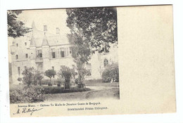 Beveren  Beveren-Waas  -  Château Te Walle Du Sénateur Compte De Bergeyck - Beveren-Waas