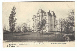 Beveren  Beveren-Waas  - Château Ter Gaver Du Compte Joseph De Bergeyck - Beveren-Waas