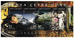 Turkey, Türkei - 2008 - THE WORLD ENVIRONMENT DAY GLOBAL WARMING - 1.Mini S/Sheet - USED - Usati