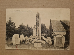 Carte PLOZEVET  Monument Aux Morts - Plozevet