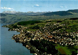 Wädenswil Und Die Alpen (4289) * 24. 7. 1974 - Wädenswil