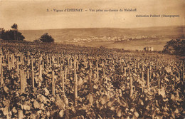 CPA 51 VIGNES D'EPERNAY VUE PRISE AU DESSUS DE MALAKOFF Voir Verso Pub Champagnes Paillard - Epernay