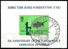 Turkish Cyprus, Zypren - 1979 - 5th Turkish Peace Operation In Cyprus - USED - Usados