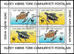 Turkish Cyprus, Zypren - 1992 - World Environment Day (Sea Turtles) - 1.Mini S/Sheet - USED - Usados