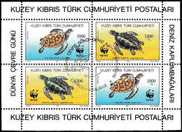 Turkish Cyprus, Zypren - 1992 - World Environment Day (Sea Turtles) - 1.Mini S/Sheet - USED - Gebraucht