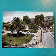 Cartolina Velletri - Giardini Pubblici E Via Dante Veroni. Viaggiata - Velletri