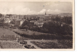 SAINT-DIDIER EN VELAY - Vue Panoramique Prise De Saint-Roch - Saint Didier En Velay