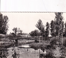 BOUGY  Les Grands Fossés - Baugy