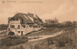 De Hann Belgique (7546)  Le Grand Hôtel ; Vue Prise Des Dunes - De Haan