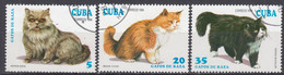 CUBA - 1994 - Lotto Di 3 Valori usati: Yvert 3351, 3353 E 3355, rappresentanti Gatti. - Used Stamps