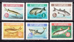 Albania 1964 Animals Fish Mi#809-814 Mint Never Hinged - Albanië