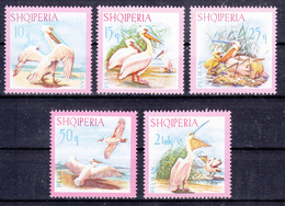 Albania 1967 Birds, Pelican Mi#1138-1142 Mint Never Hinged - Albanien