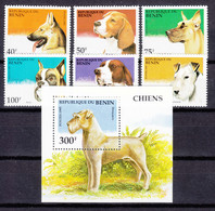 Benin 1995 Animals, Dogs Mi#675-680 And Block 12 Mint Never Hinged - Benin – Dahomey (1960-...)