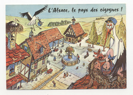 Humour - L'Alsace - CP (format 15 Cm * 10.5 Cm) - Alsace