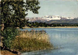 Greifensee Mit Glärnisch (2640) * 18. 7. 1966 - Greifensee