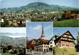 Wald Im Zürcher Oberland - 4 Bilder (1244) * 14. 8. 1985 - Wald