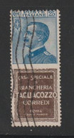 REGNO:  1924/25  TAGLIACOZZO  -  25 C. AZZURRO  E  BRUNO   US. -  SASS. 8 - Reklame
