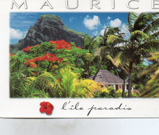 ILE MAURICE - Morne Brabant - Maurice