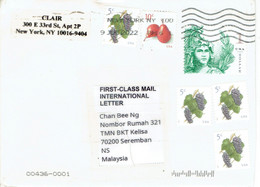 C1 : USA - Grape Fruits, Pear, Personality Stamps Used On Covers - Lettres & Documents