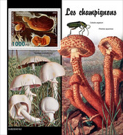 Djibouti  2022 Mushrooms S202210 - Djibouti (1977-...)