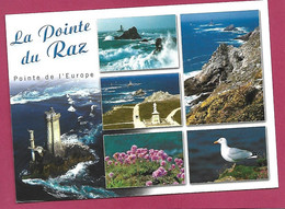 Plogoff (29) La Pointe Du Raz Phare De La Vieille 2scans Goéland 08-06-2006 Cachet Mécanique D'Erdeven - Plogoff