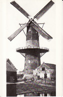 1947156Leiden, Korenmolen ,,De Stier  In 1950 Gesloopt, Foto 1917 R 10 - Leiden