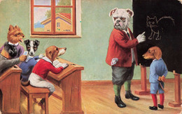 FANTAISIES - S07626 - Chiens Habillés Dans Une Salle De Classe - Tableau - Pupitres - L1 - Animaux Habillés