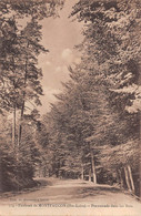 Environs De MONTFAUCON-en-VELAY (Haute-Loire) - Promenade Dans Les Bois - Montfaucon En Velay