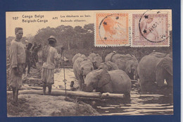 CPA éléphant Voir Dos Congo Belge Afrique Noire - Elephants