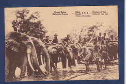 CPA éléphant Congo Belge Afrique Noire Non Circulé - Elephants