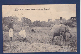 CPA éléphant Congo Belge Afrique Noire Circulé - Elefantes