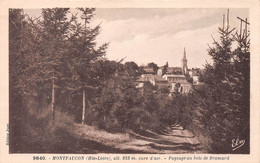 MONTFAUCON-en-VELAY (Haute-Loire) - Paysage Au Bois De Bramard - Montfaucon En Velay