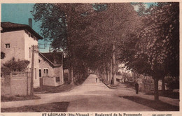 Saint Léonard - Boulevard De La Promenade - Saint Leonard De Noblat