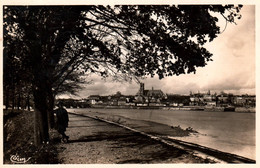 Nevers - Quai De La Jonction Avec Ses Marronniers - Nevers