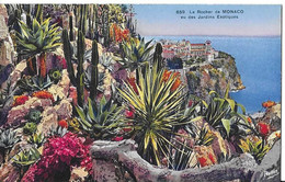 CPA MONACO -jardin Exotique - Exotische Tuin