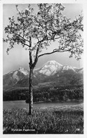 CPSM Motio Am Faakersee-Timbre     L1998 - Faakersee-Orte