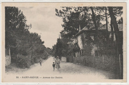 11 DEPT 44 : édit. G Artaud N° 25 : Saint Brévin Avenue Des Chalets - Saint-Brevin-l'Océan