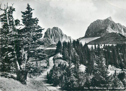 Postcard Switzerland Nunenen Und Gantrisch Mountain Forest Scene 1967 - Risch-Rotkreuz