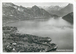 Postcard Switzerland Fliegeraufnahme Hertenstein Aerial 1957 - Stein