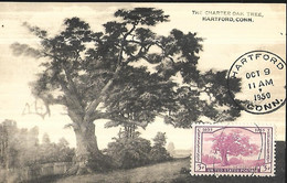 USA  CARTE MAXIMUM  Connecticut Hartford The Charter Oak Tree 1950 - Cartoline Maximum