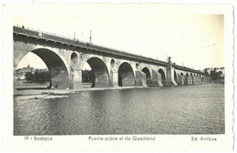 CPSM BADAJOZ - Puente Sobre El Rio Guadiana - Ed. Arribas N°19 - Badajoz