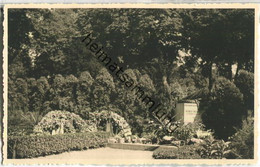 Berlin - St. Nikolai Friedhof - Horst Wessel Grab - Foto-AK - Prenzlauer Berg