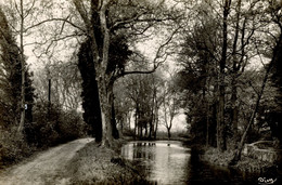 SAULCE SUR RHONE LA TOUR DE VERE LE LAC 1955 - Other & Unclassified