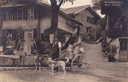 1911/ Wilderswil, Dorf Partie, Hondenkar, Melkverkoper - Wilderswil