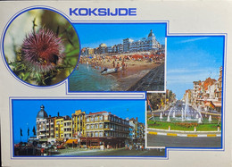 Koksijde Veelzicht - Koksijde